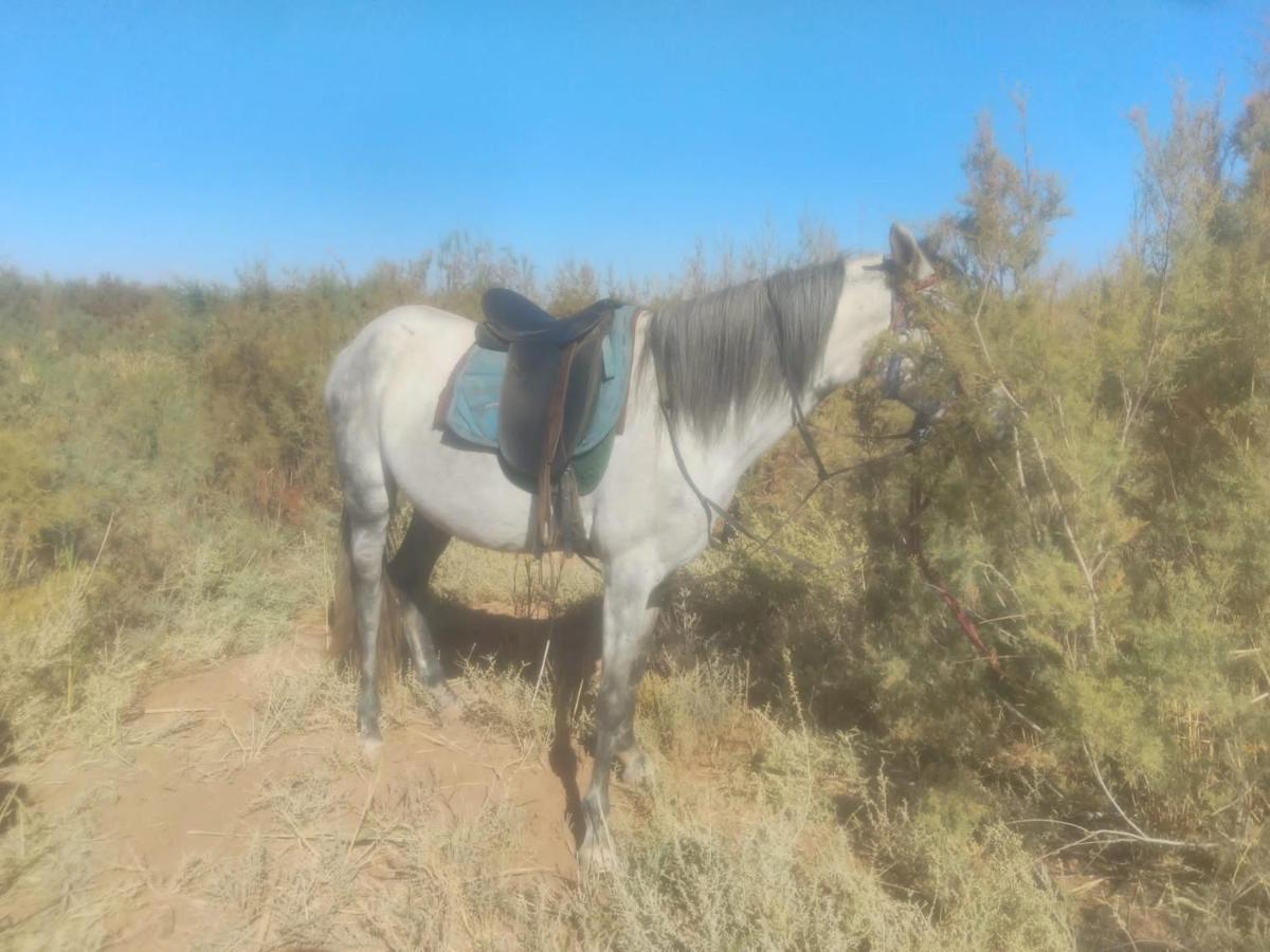 Dar Alfourssane Ferme D'Hote Varzazate Kültér fotó