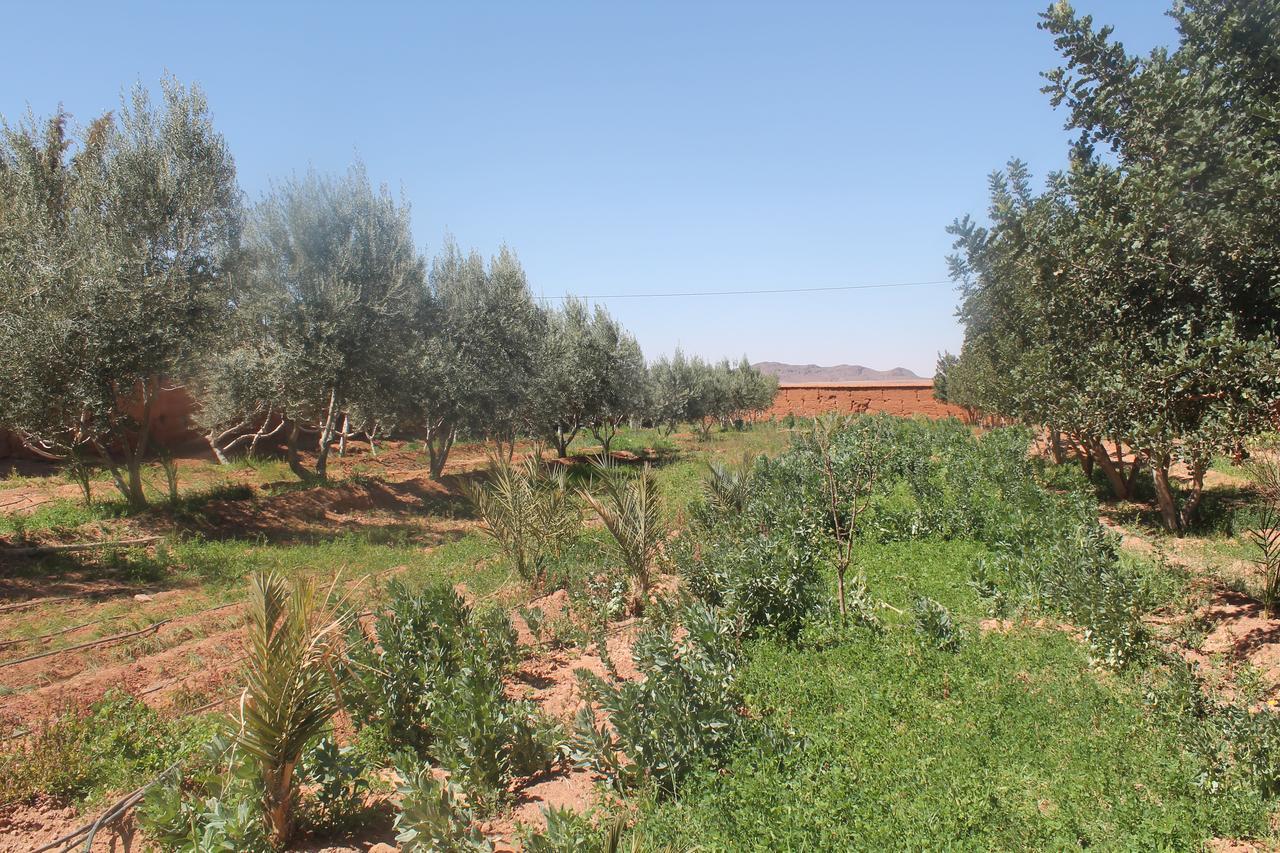 Dar Alfourssane Ferme D'Hote Varzazate Kültér fotó