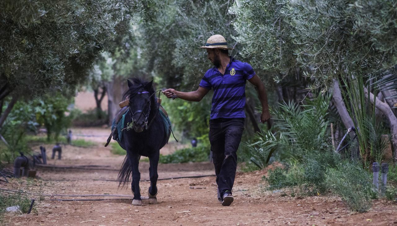 Dar Alfourssane Ferme D'Hote Hotel Varzazate Kültér fotó